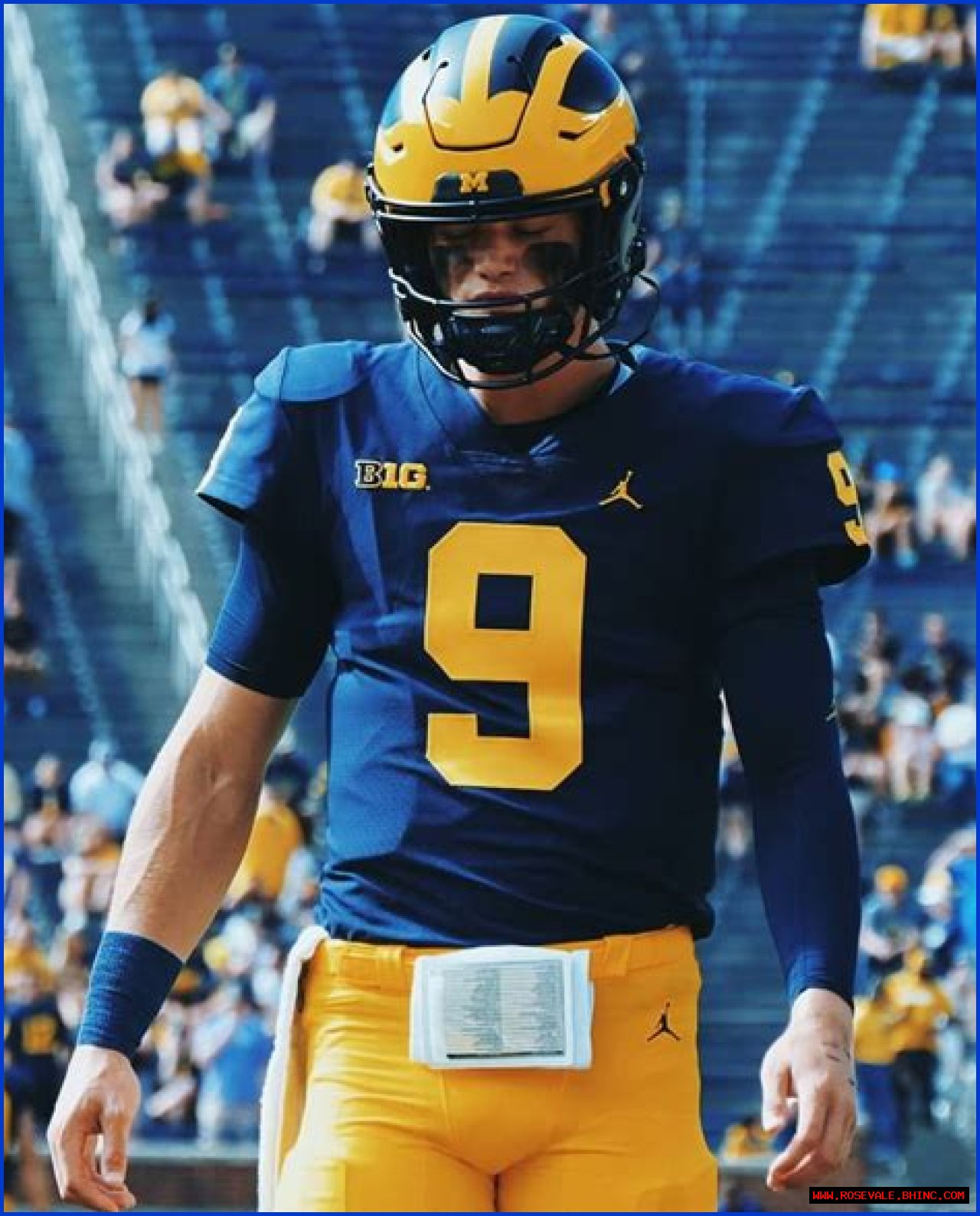 Are JJ Mccarthy And Mike Mccarthy Related? Family Tree And Net Worth Difference