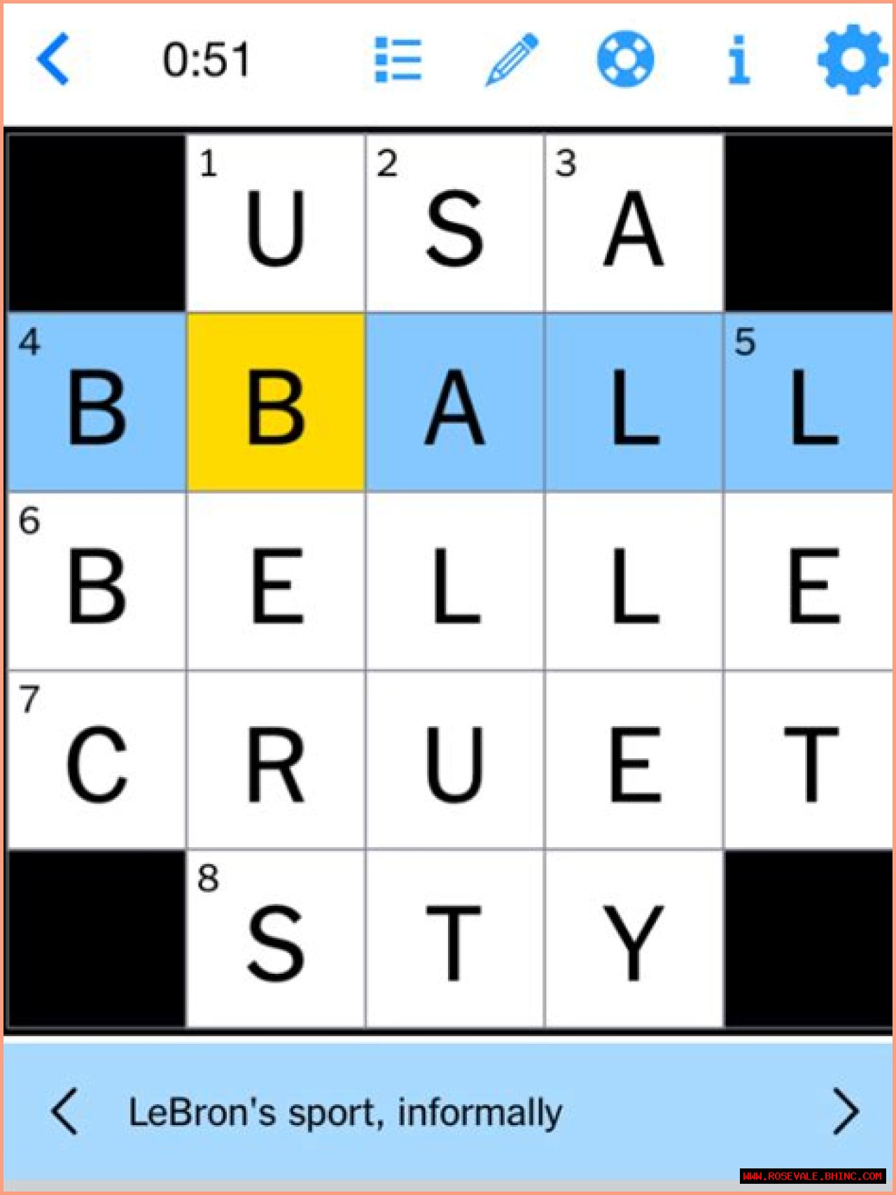 Big name in contact lenses NYT Crossword Clue Answer