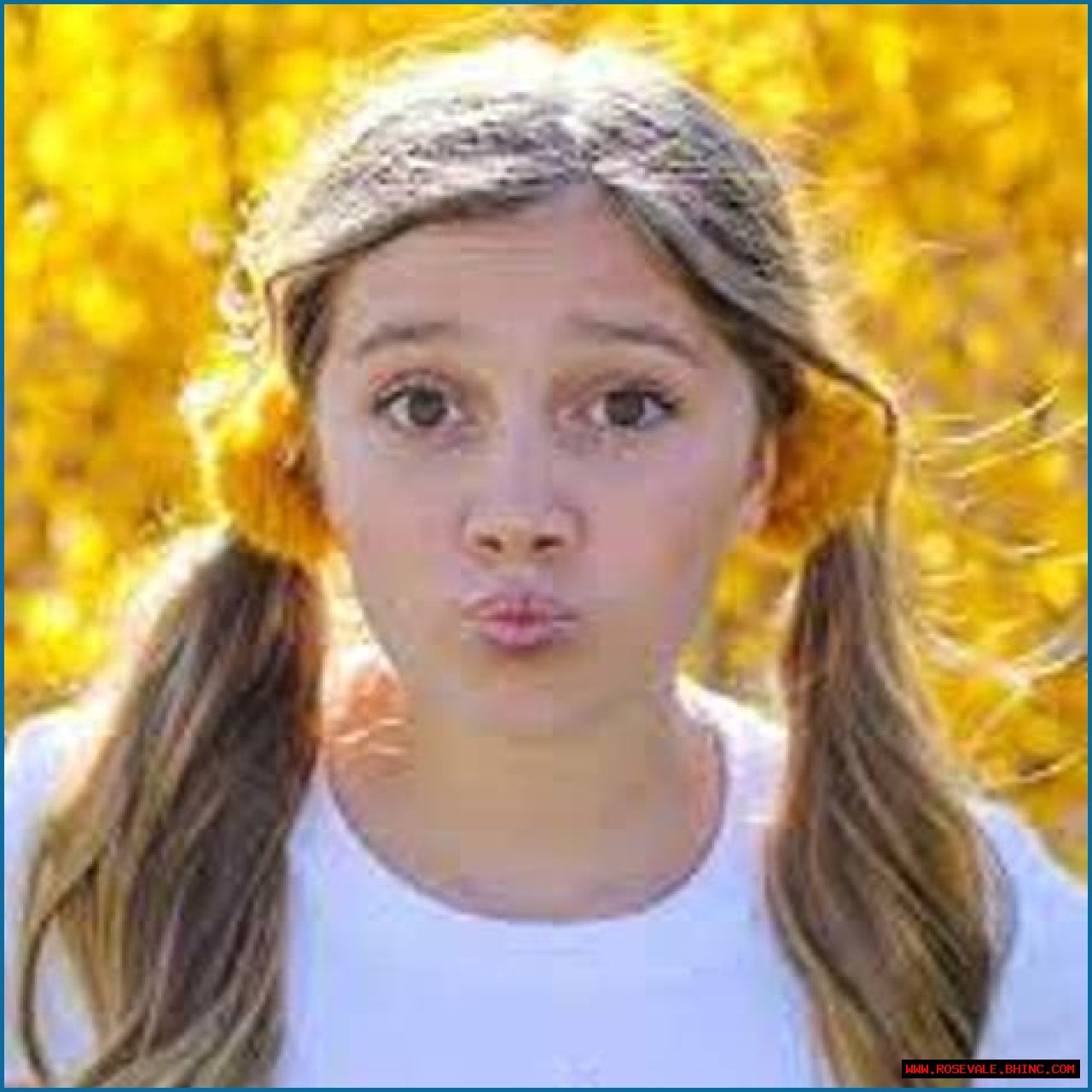 Brighton Shumway (YouTube Star) - Age, Birthday, Bio, Facts, Family, Net Worth, Height & More
