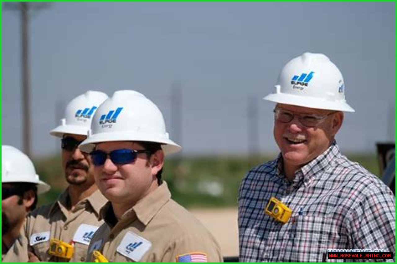 Chinese-owned Surge Energy expands oil field business in U.S. Texas - Xinhua