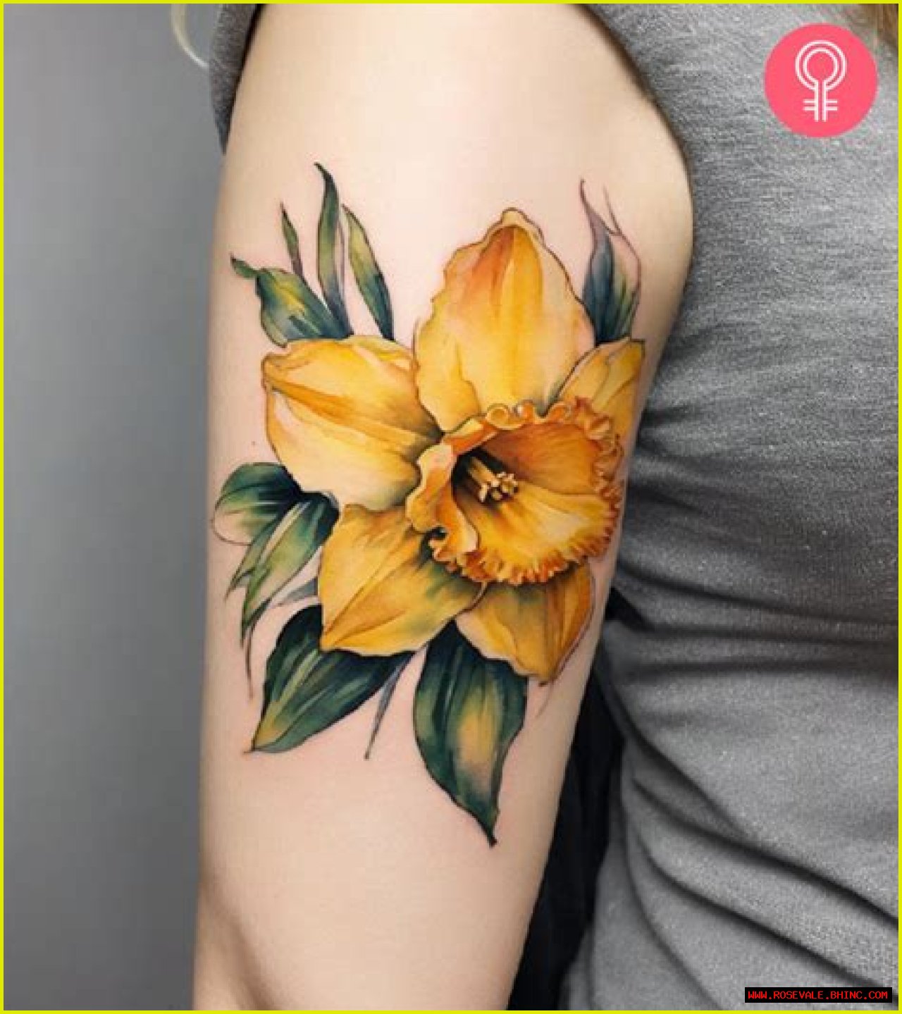 Daffodil Tattoo: Symbolism, Designs, And Care Tips