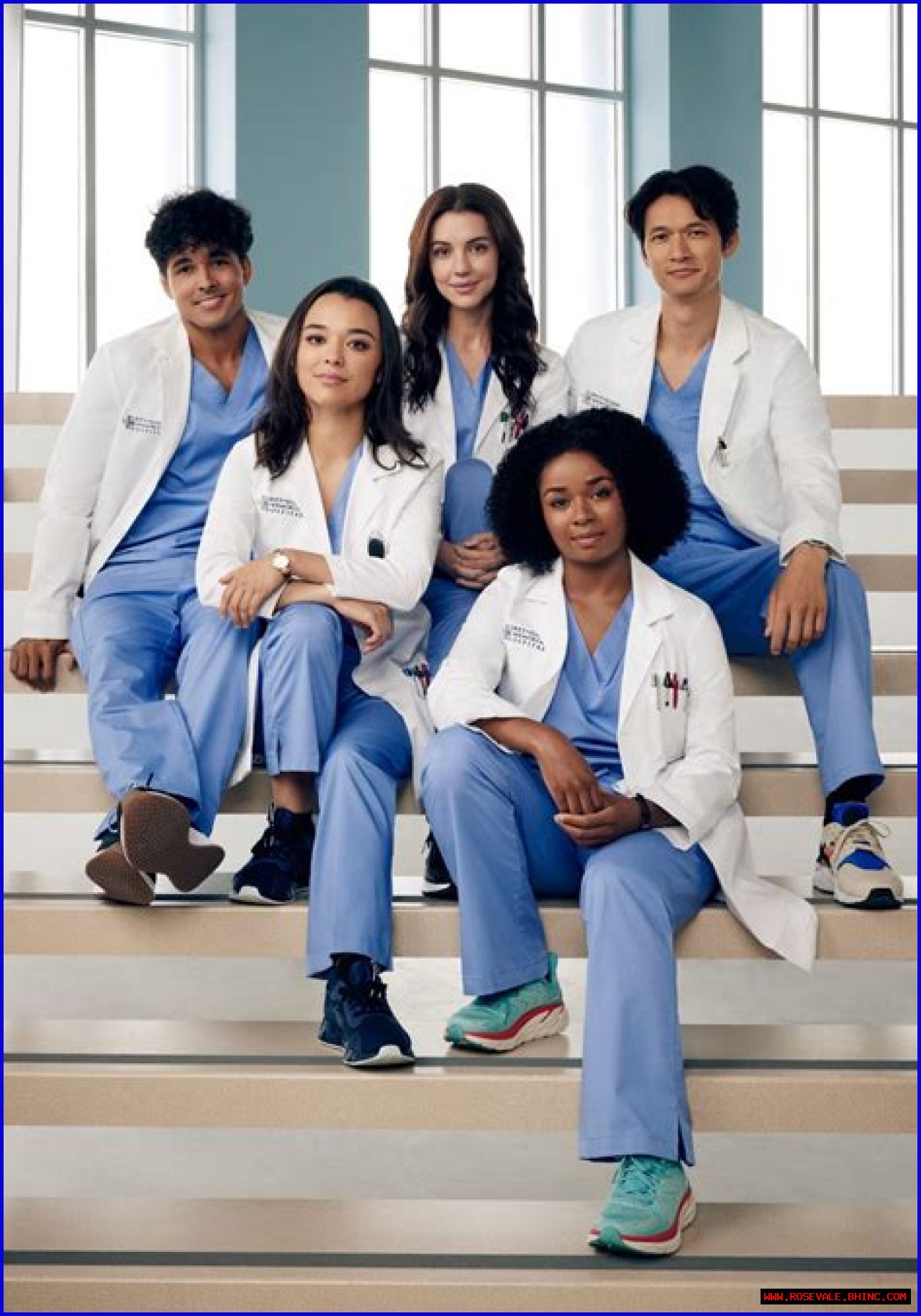 Exploring The Grey's Anatomy 5 Rules: A Guide To Life And Medicine