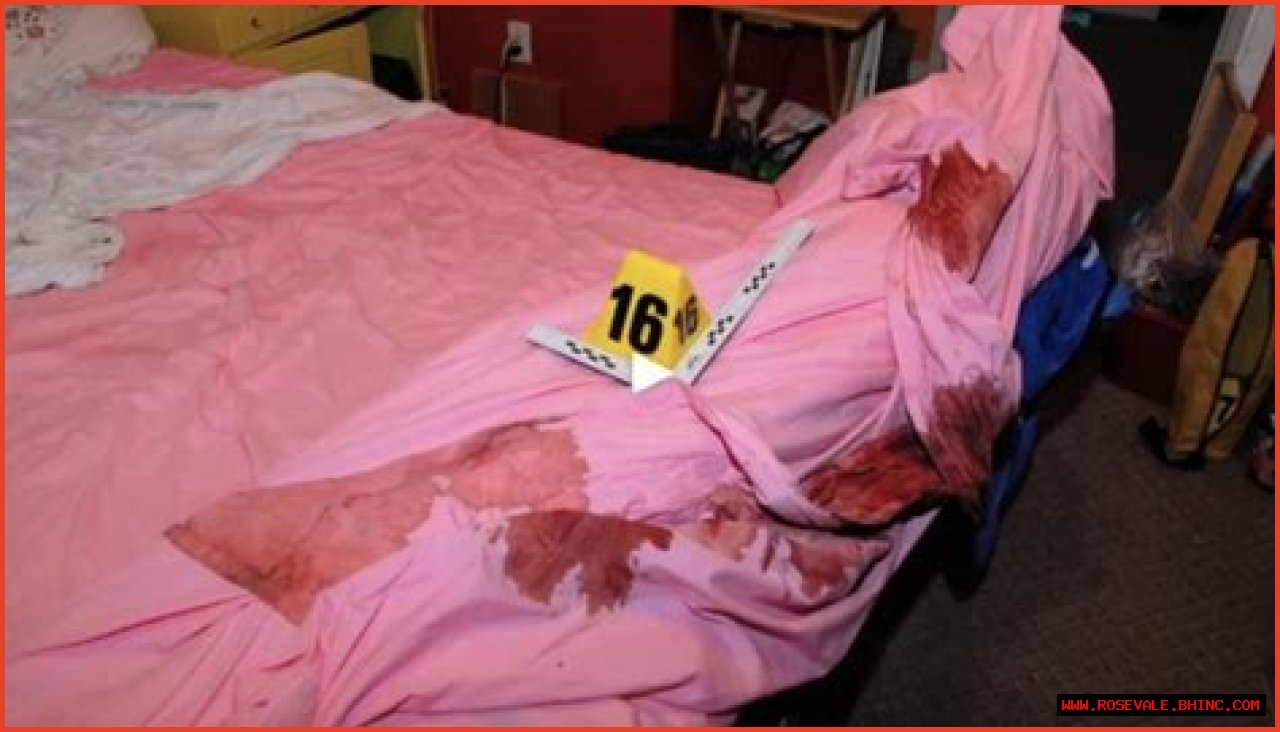 Gypsy Rose Mom Crime Scene Photos: Unraveling The Controversial Case