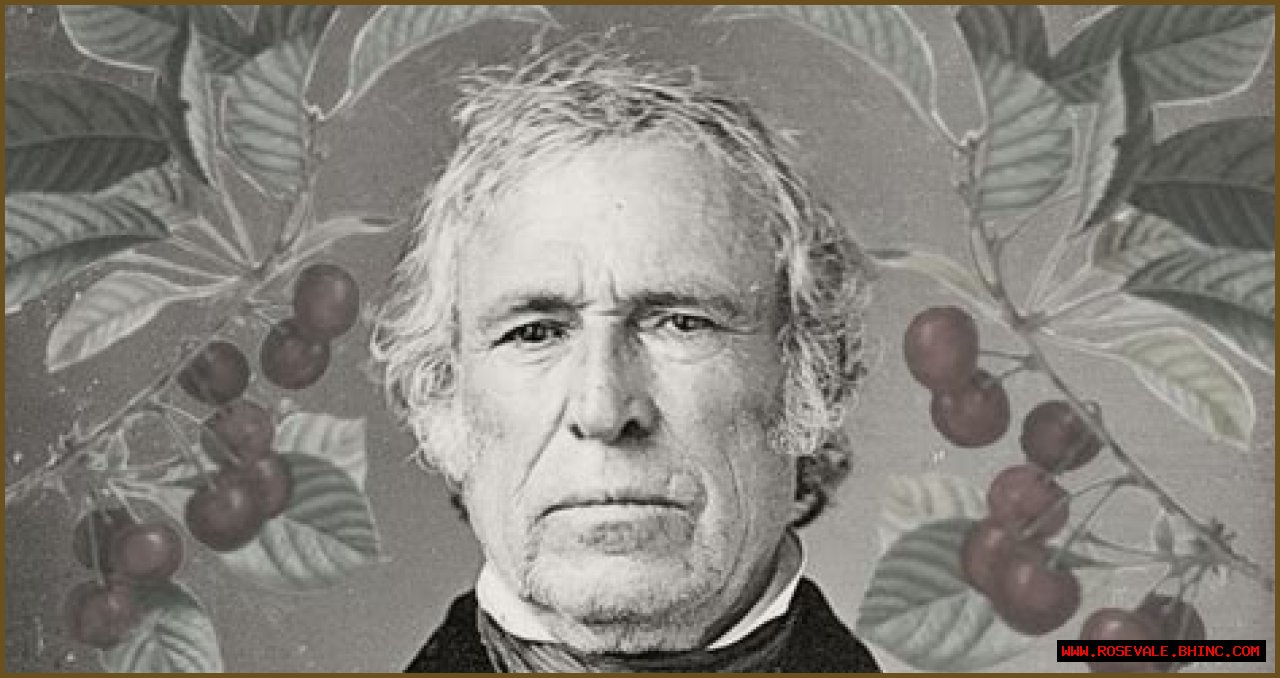 How Cherries Are Tied To President Zachary Taylor's Death