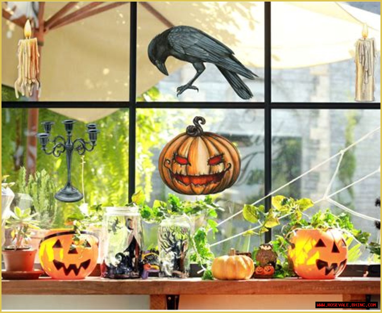 JWoww's Spooktacular Halloween: Celebrating The Season In Style