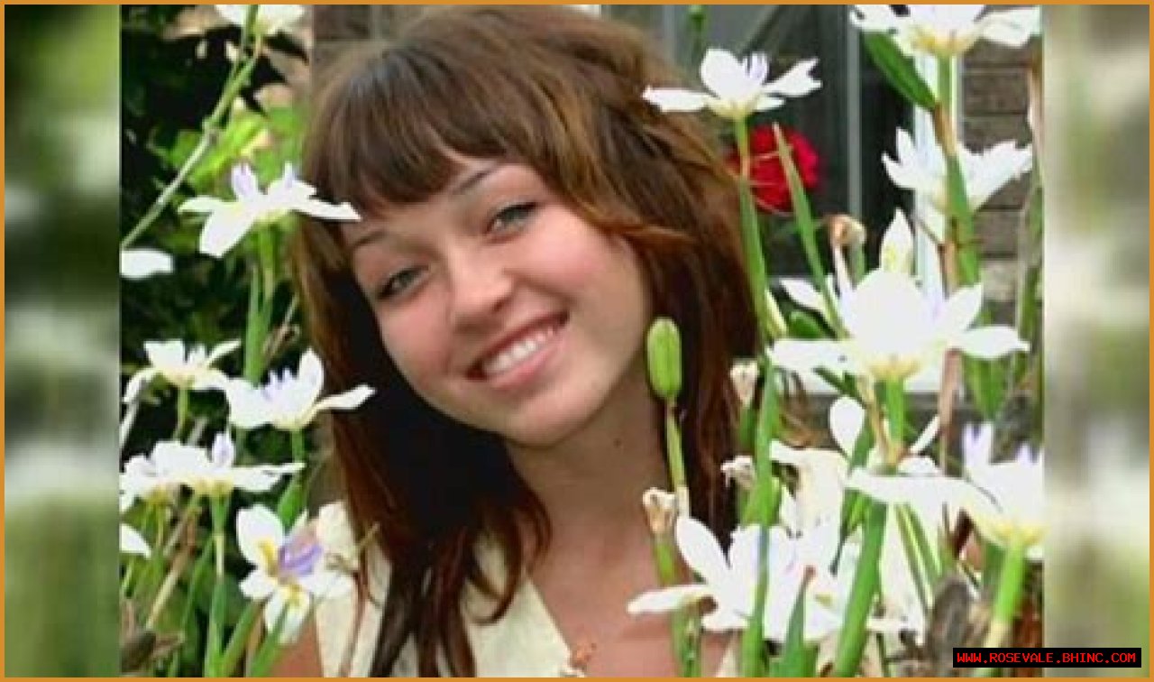 Nikki Cat Saurus: Remembering The Legacy After Her Death