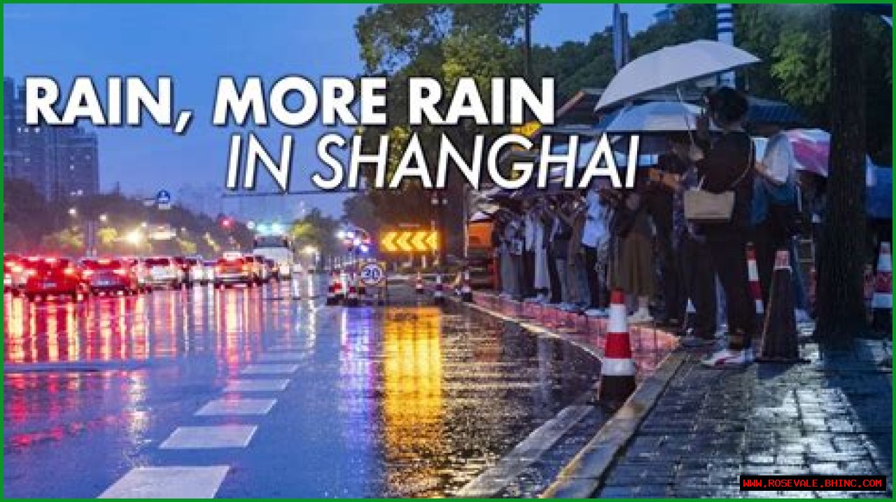 Shanghai's 'plum rain' precipitation hits 20-year high - Xinhua