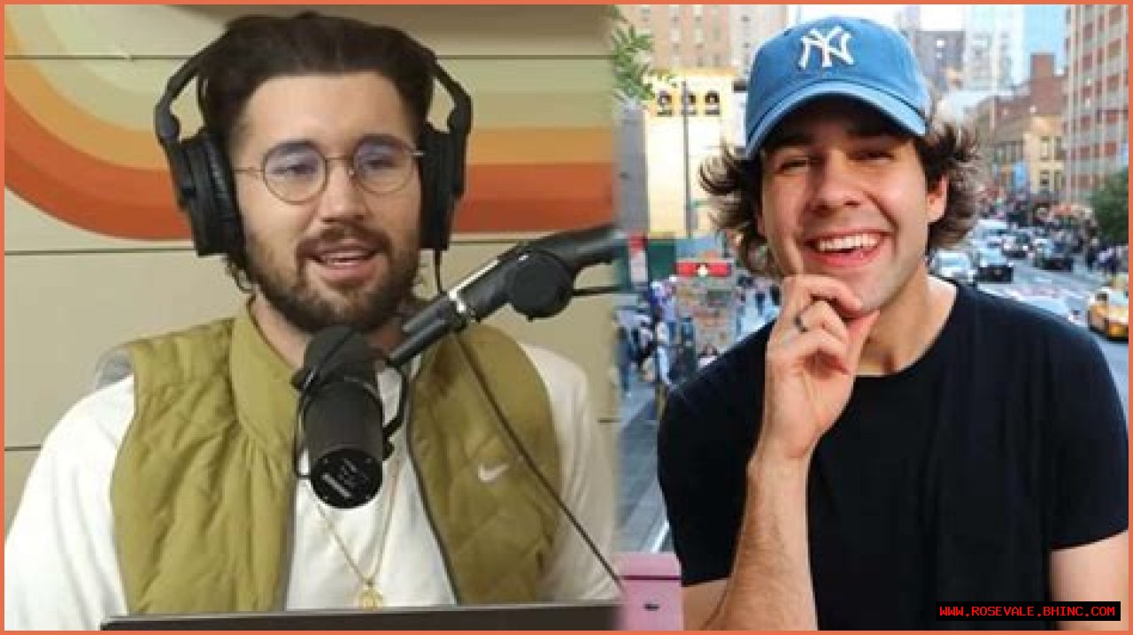 Why Did David Dobrik Do An Apology Video? Jeff Wittek Accident Footage