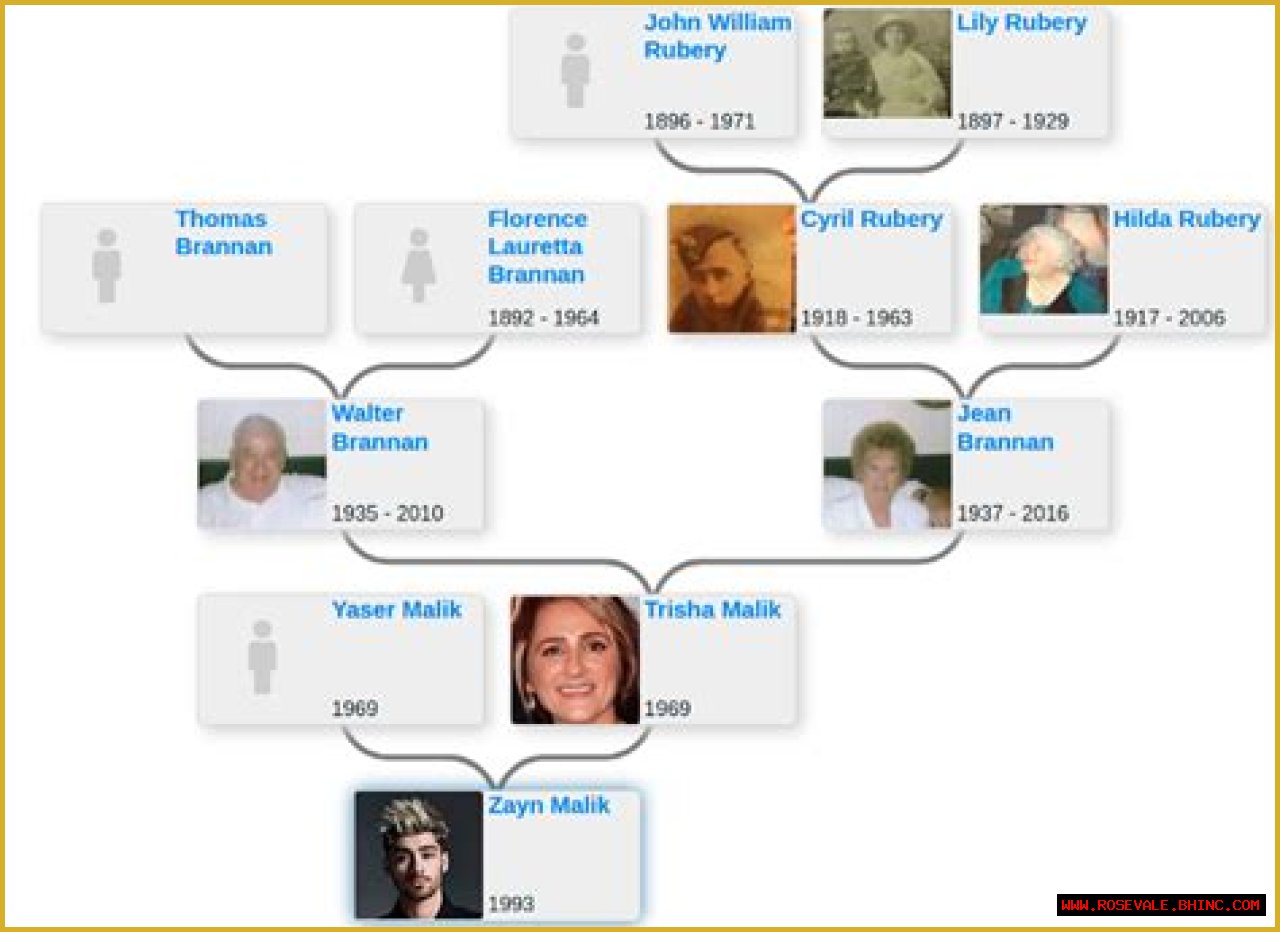Zayn Malik Family Tree & History, Ancestry & Genealogy